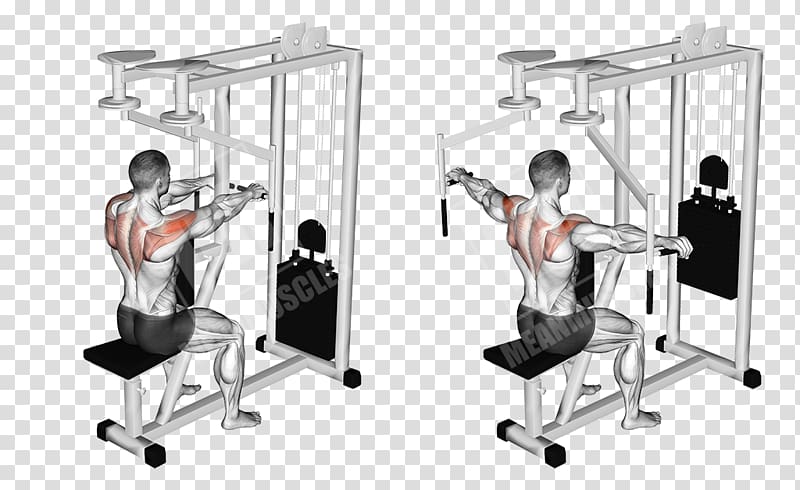 Machine fly Exercise Front raise Muscle, fly transparent background PNG clipart