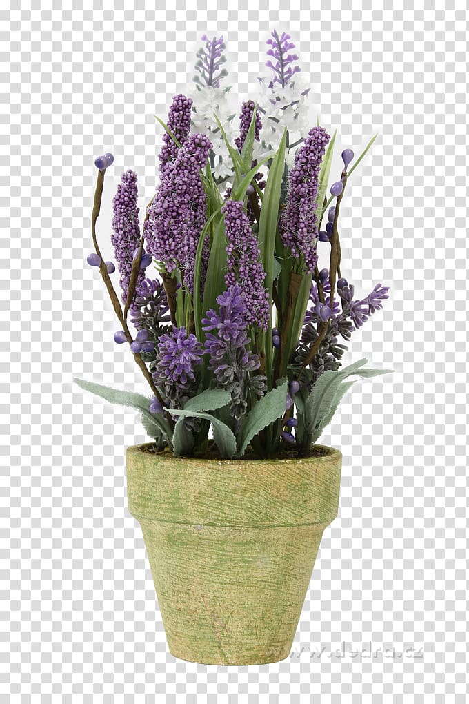 English lavender French lavender Flowerpot, plumeria alba transparent background PNG clipart