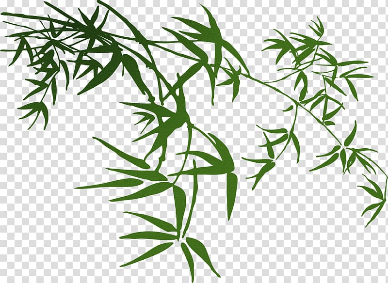 Bamboo , Chinese wind Chinese style cartoon s,Fresh bamboo transparent background PNG clipart
