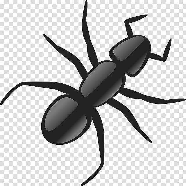 Black garden ant , Cartoon Bugs transparent background PNG clipart