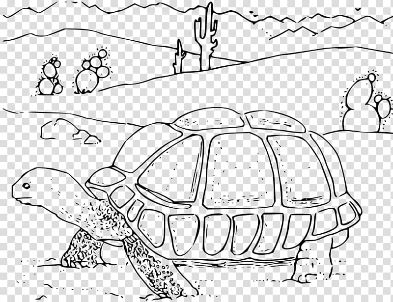 Turtle Drawing Desert tortoise , hyena transparent background PNG clipart