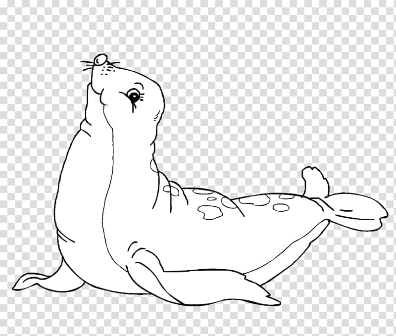 Earless seal Coloring book Drawing Harbor seal, nature sea animals seals transparent background PNG clipart