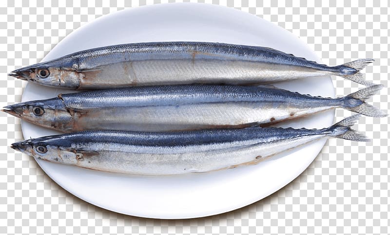 Sardine Pacific saury Fish products Oily fish, fish transparent background PNG clipart