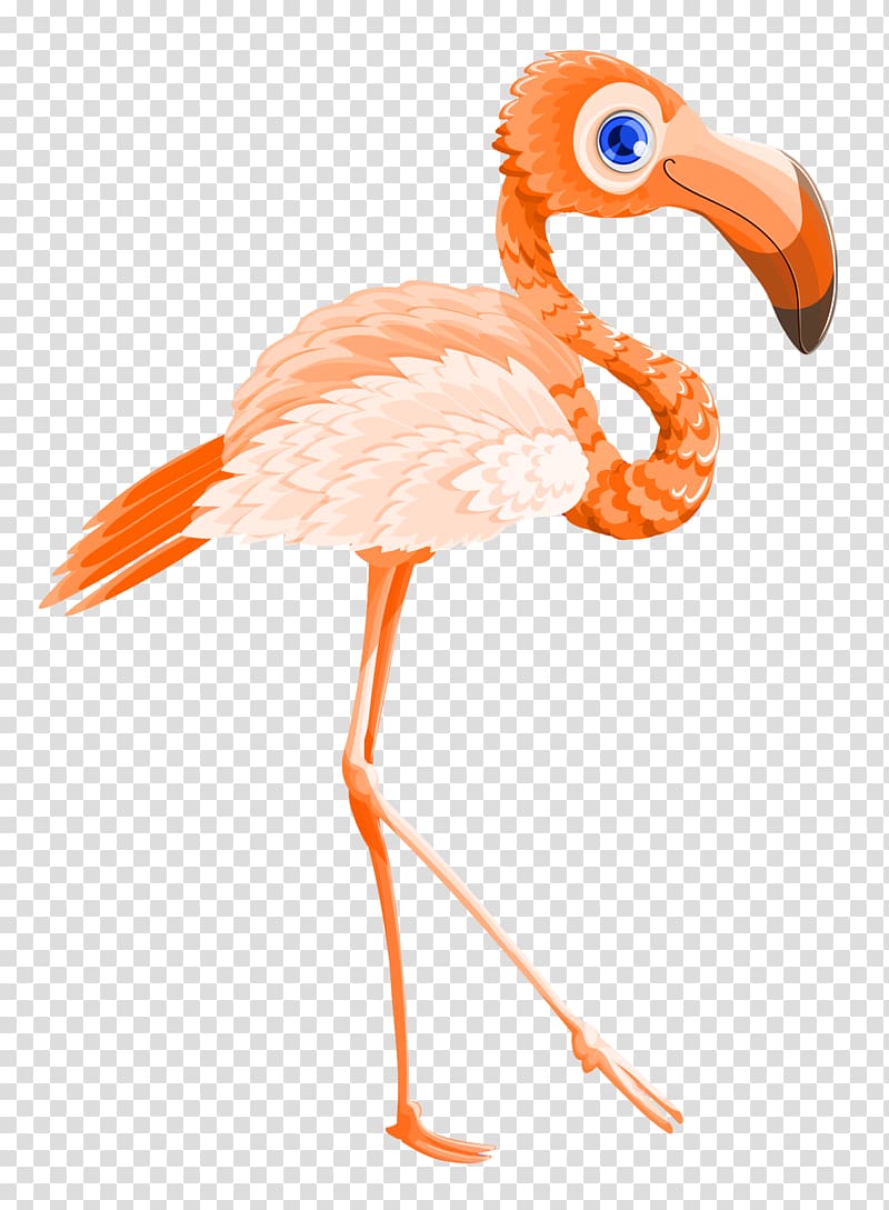 Flamingo Valentines Day, Flamingo Bird transparent background PNG clipart