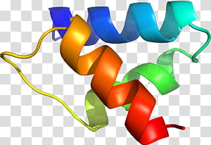 Line , design transparent background PNG clipart thumbnail