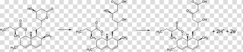 Simvastatin Beta hydroxy acid Monochrome Alpha hydroxy acid, Mechanism transparent background PNG clipart