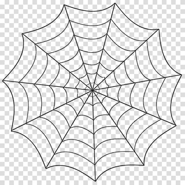 Spider web Drawing Line art, spider transparent background PNG clipart