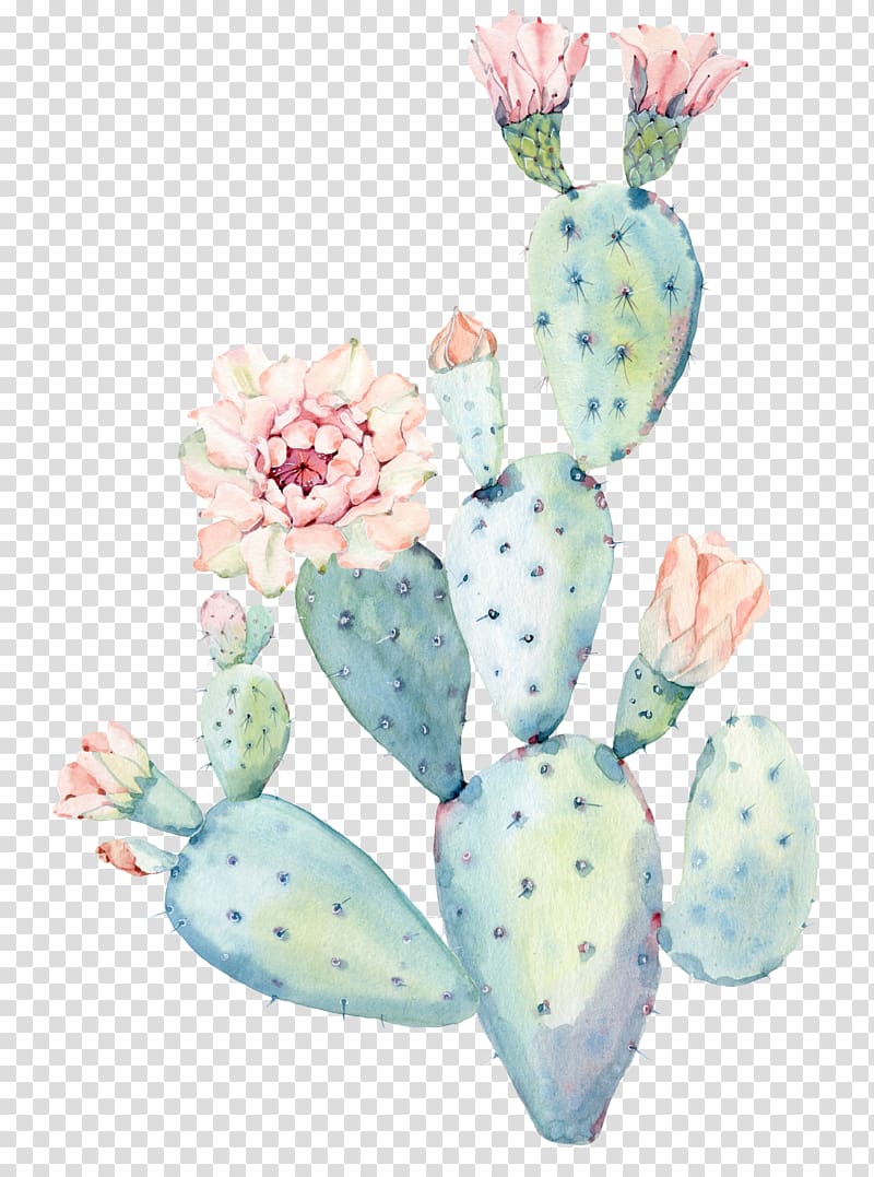 teal cactus , Cactaceae Watercolor painting Saguaro, cactus transparent background PNG clipart