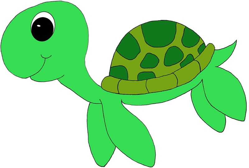 Green sea turtle Leatherback sea turtle , Turtle School transparent background PNG clipart