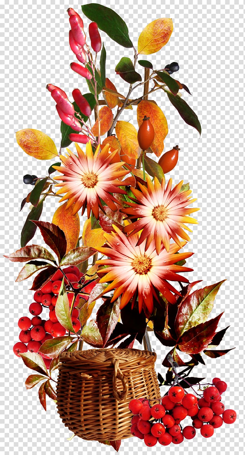 Flower Autumn Watercolor painting , Autumn flowers fruit transparent background PNG clipart