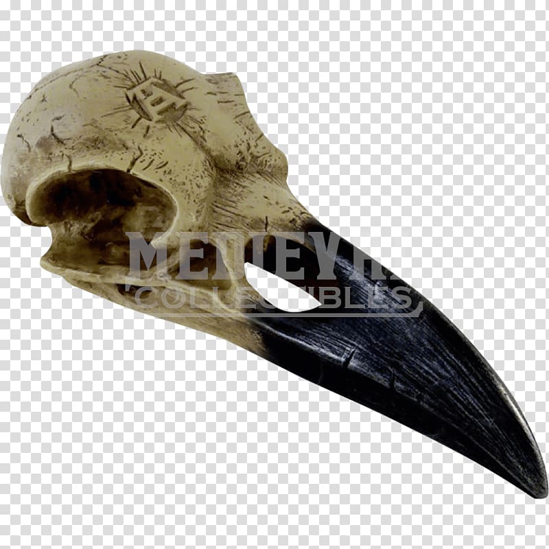 The Raven Skull Common raven Alchemy Crane, skull transparent background PNG clipart