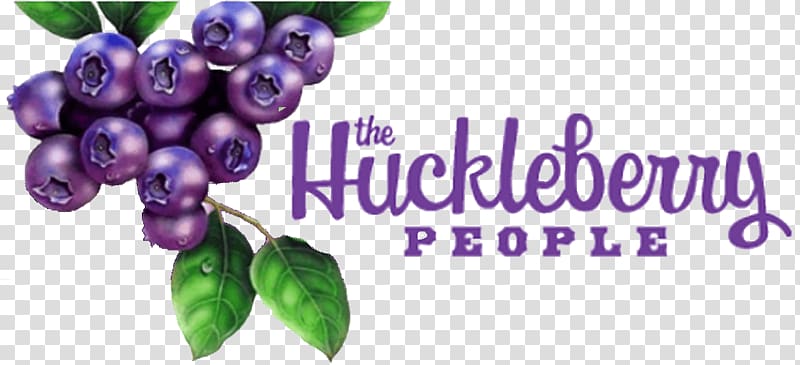 Berries Huckleberry Portable Network Graphics Food Grape, berries transparent background PNG clipart