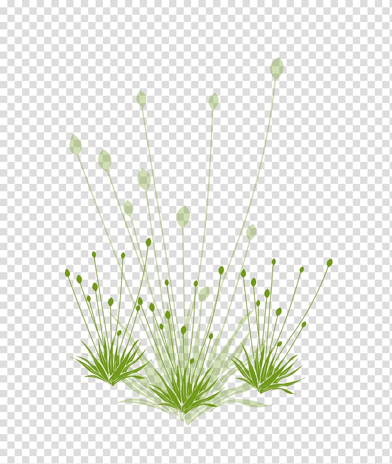 Google Grasses Icon, Green grass transparent background PNG clipart