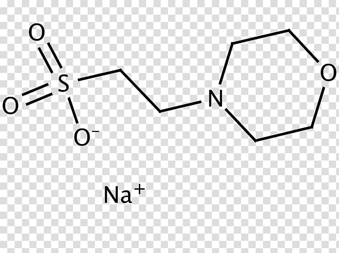 Chemical compound 2-(dimethylamino)ethanesulfonic acid /m/02csf, others transparent background PNG clipart