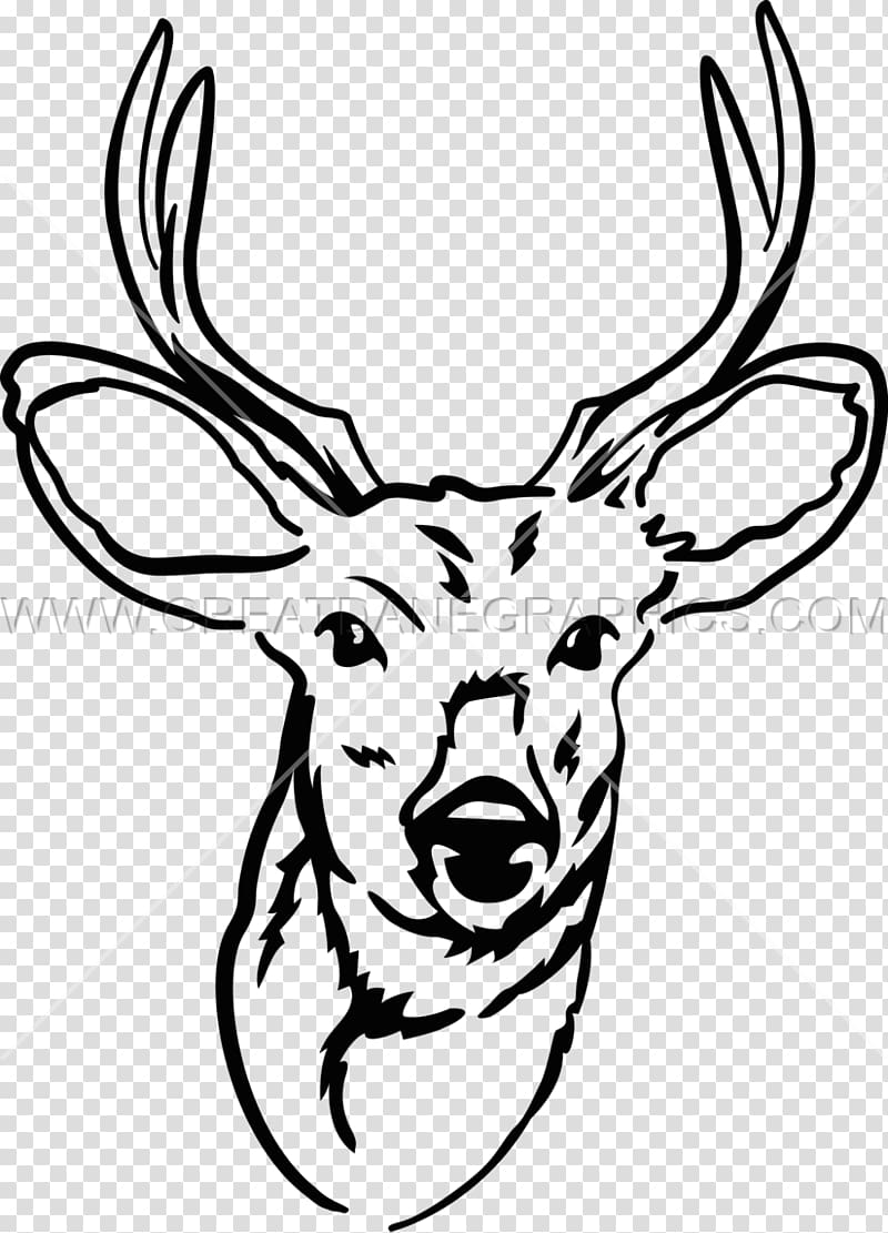 Elk Reindeer Antler Drawing , Young bucks transparent background PNG clipart