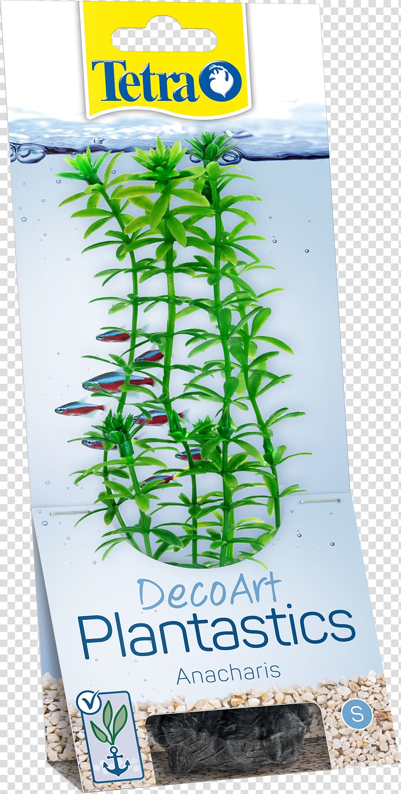 Aquariums Plant Fishkeeping Tetra, plant transparent background PNG clipart