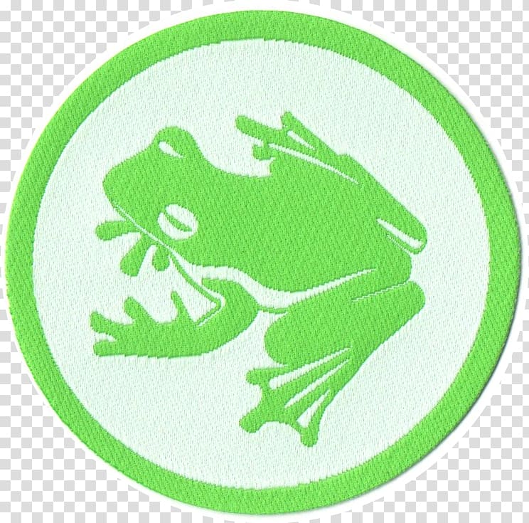 Polska, Irlandia Tree frog Przewóz Freight Forwarding Agency Artikel, A4 transparent background PNG clipart