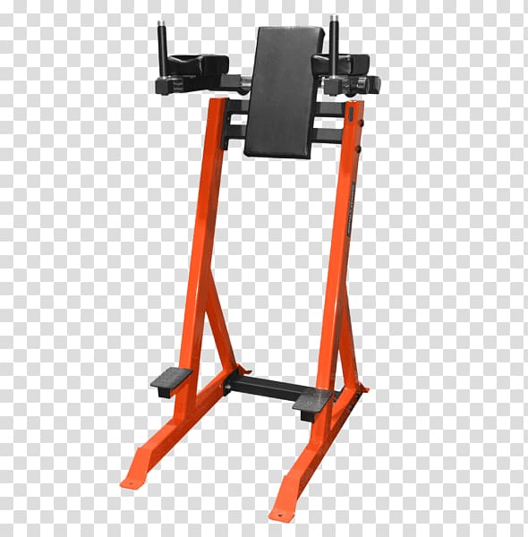 Strength training Bench Leg raise Hyperextension Dumbbell, dumbbell transparent background PNG clipart