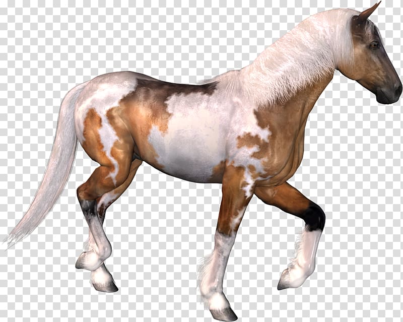 Horse Pack animal, headless horseman transparent background PNG clipart