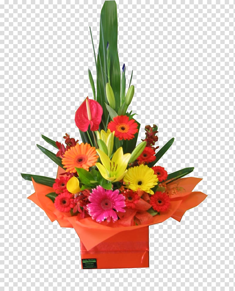 Floral design Cut flowers Flower bouquet Transvaal daisy, flower transparent background PNG clipart