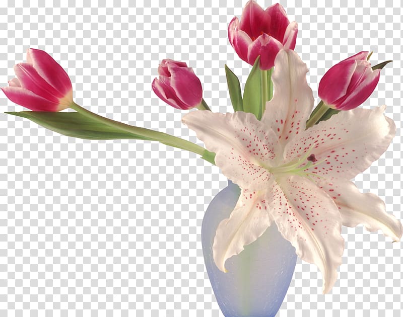 Flower Tulips in a Vase Desktop Lilium, lily transparent background PNG clipart