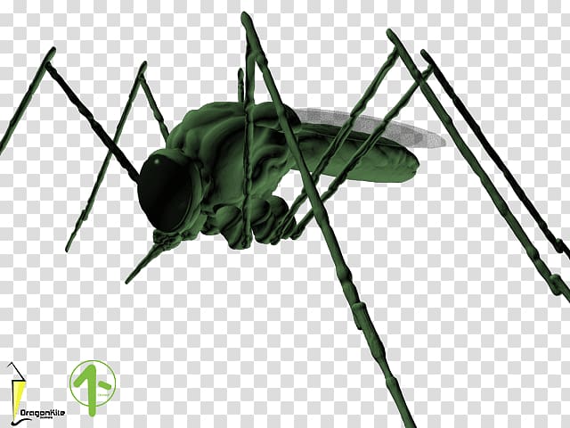 Cricket Insect Cloning Pest Game, dragon kite transparent background PNG clipart