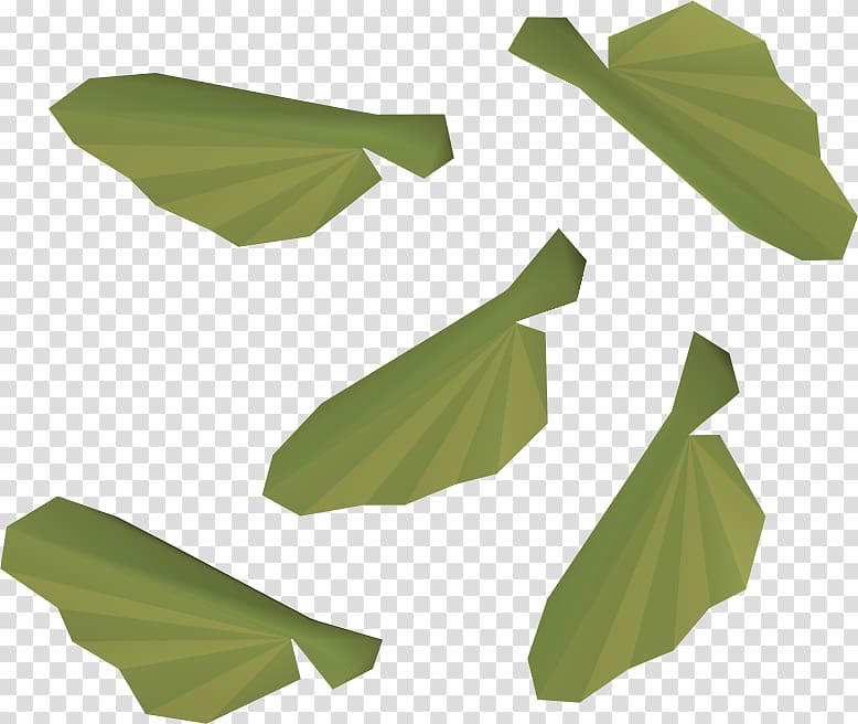 Old School RuneScape Sugar maple Acer ginnala Japanese maple, Of Planting Seeds transparent background PNG clipart
