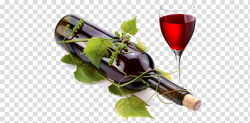 Red Wine Common Grape Vine Bottle Wine glass, Copa Vino transparent background PNG clipart