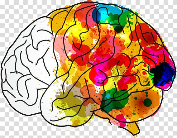 Human brain Creativity Mind Hacks, Brain Health transparent background PNG clipart