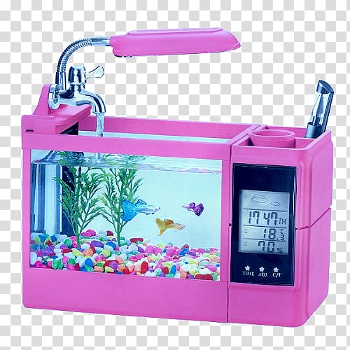 Aquarium Filters Goldfish Siamese fighting fish Aquariums, fish tank transparent background PNG clipart