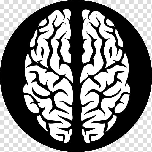 Human brain Computer Icons , Brain transparent background PNG clipart