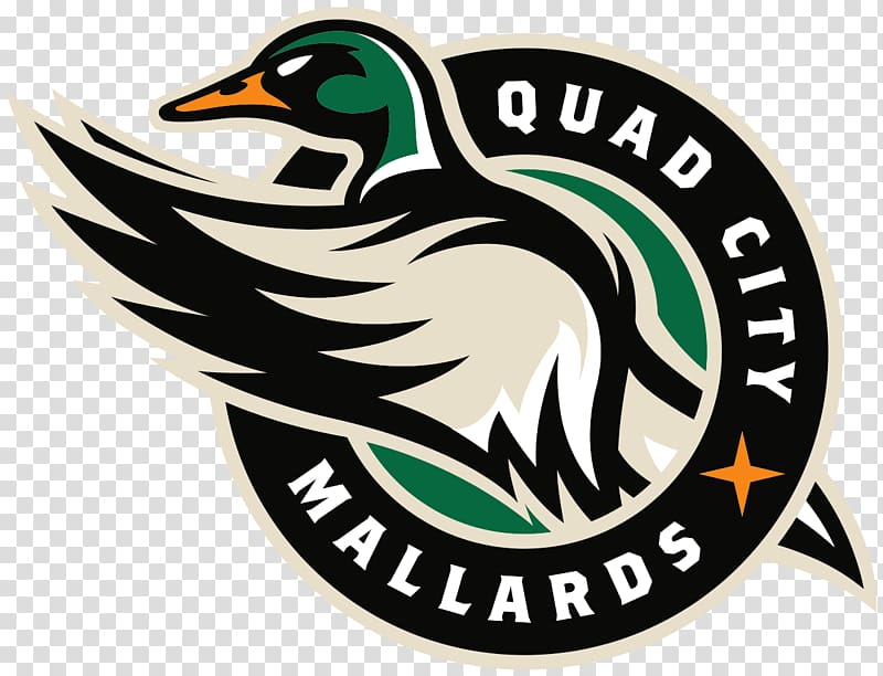 Quad City Mallards logo illustration, Quad City Mallards Logo transparent background PNG clipart