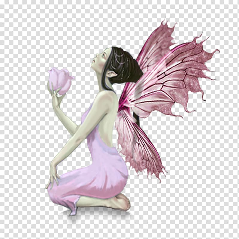 pink fairy holding flower illustration, Butterfly Fairy Diamonds and Toads Elf, Elf fairy transparent background PNG clipart