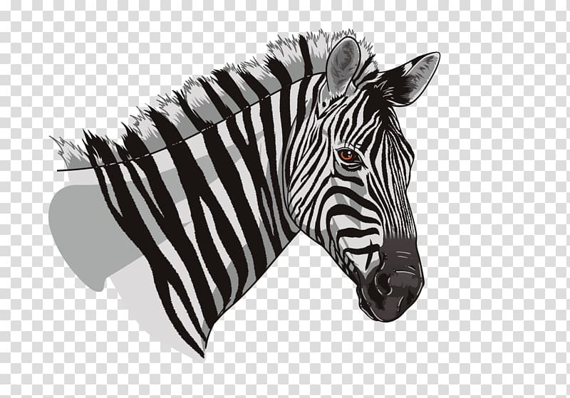 Quagga Wildlife Animal Restaurant Snout, Welcome To Jamrock transparent background PNG clipart