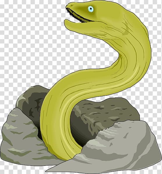 Moray eel Giant moray , Eeo transparent background PNG clipart