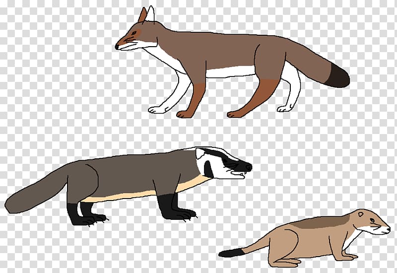 Red fox Macropodidae Mustelids Cat Terrestrial animal, hunting transparent background PNG clipart