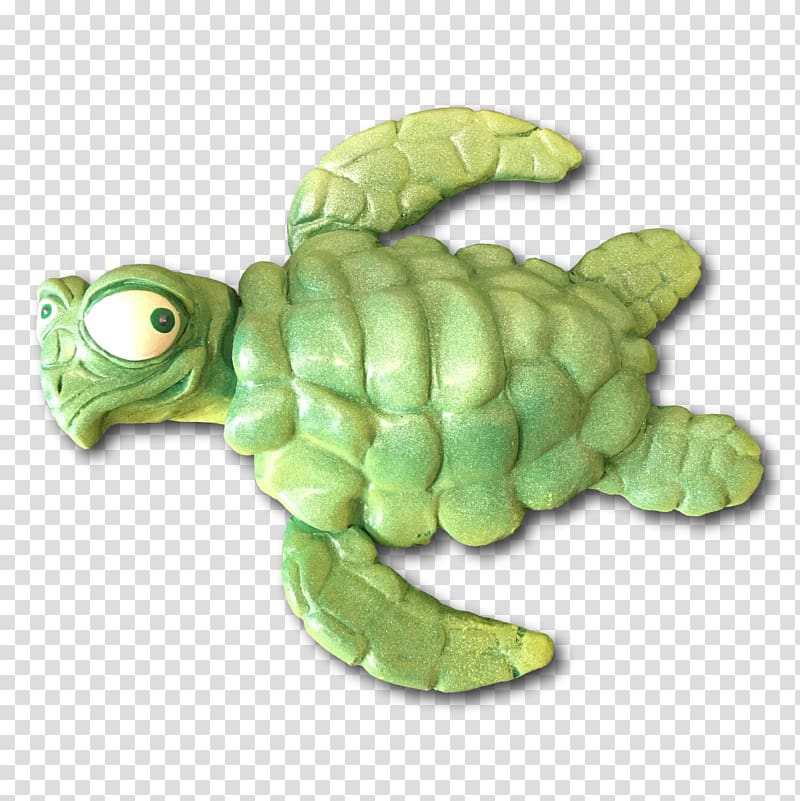 Green sea turtle Tortoise Flipper, turtle transparent background PNG clipart