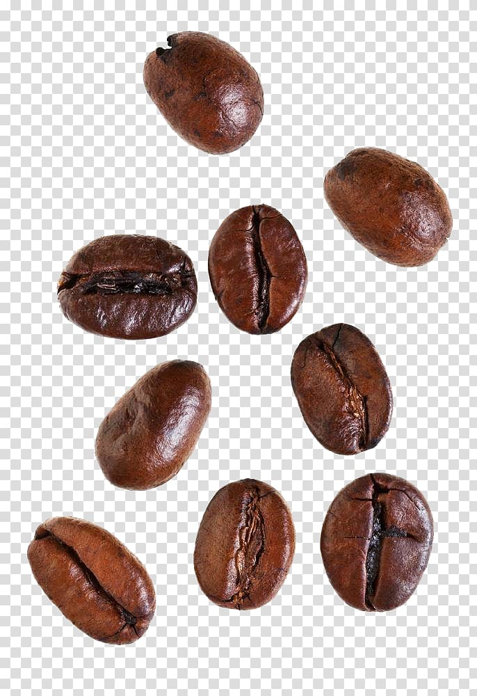 coffee beans illustration, Turkish coffee Cappuccino Espresso Cafe, coffee transparent background PNG clipart