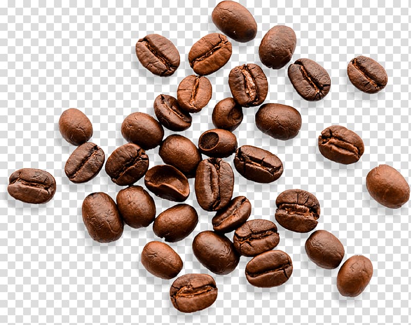 Jamaican Blue Mountain Coffee Dolce Gusto Nescafé Commodity, Coffee transparent background PNG clipart