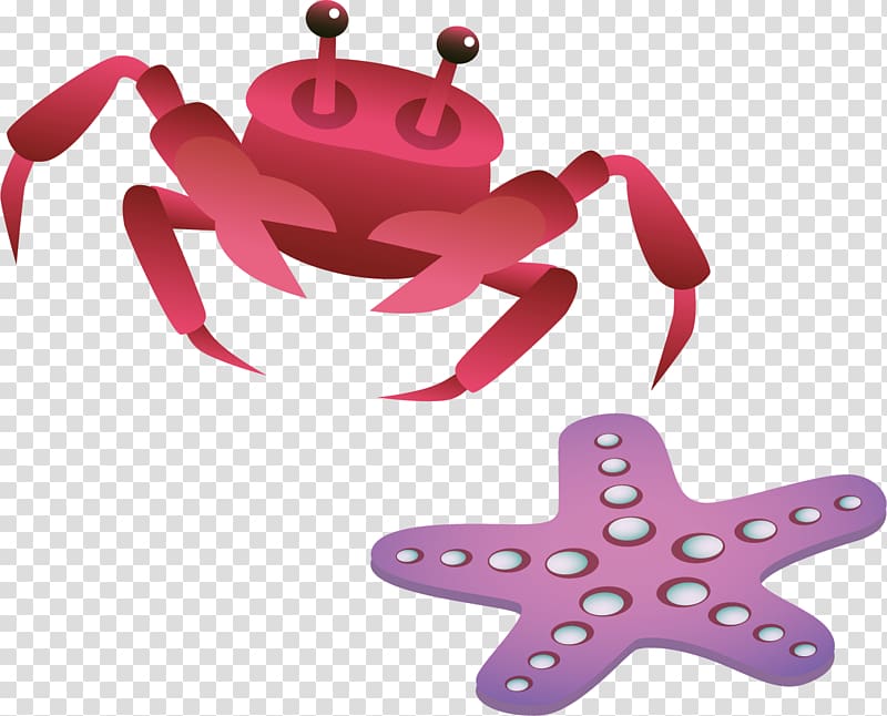 Starfish Illustration, Crab Starfish material transparent background PNG clipart