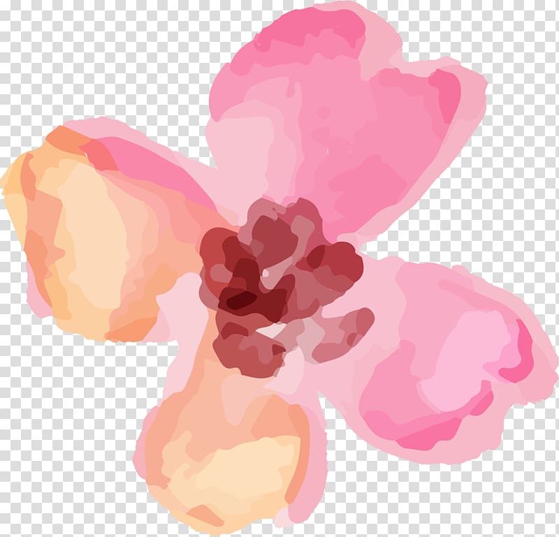 Flower Petal Watercolor painting Valentine\'s Day , flower watercolour transparent background PNG clipart