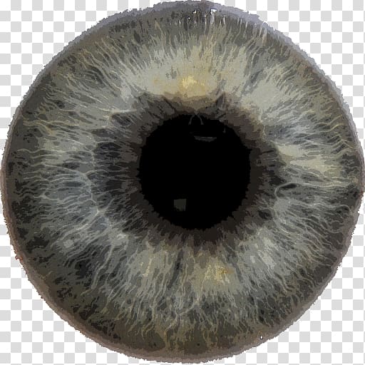 Iris Eye Pupil Color, Eye transparent background PNG clipart