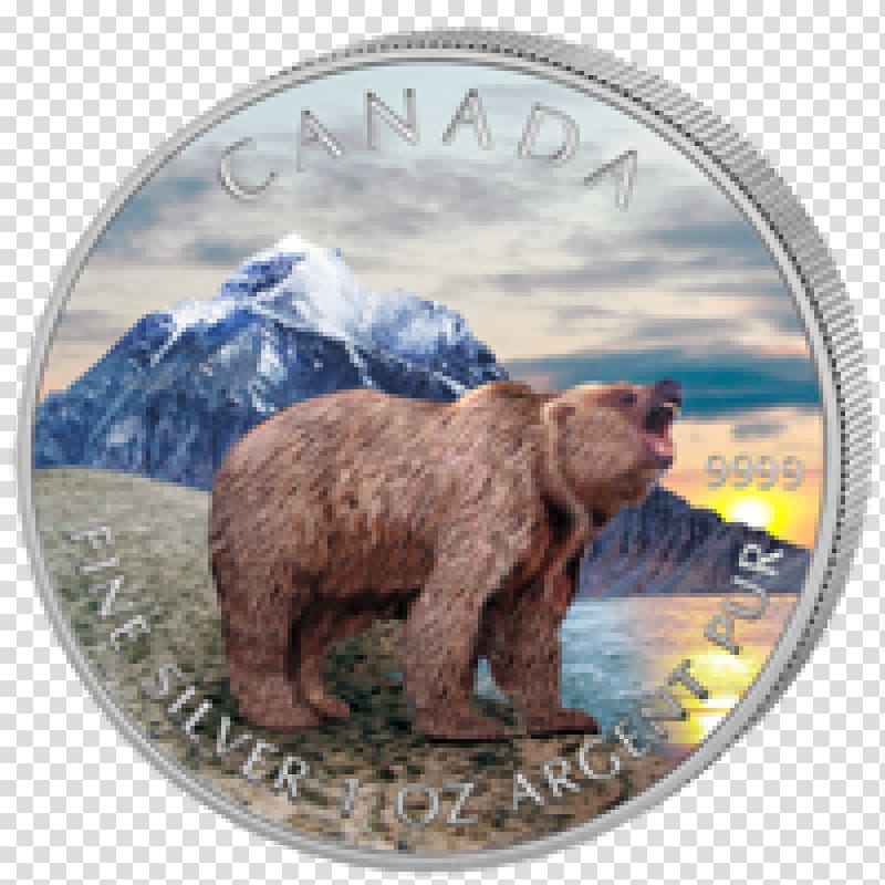 California grizzly bear Canada, bear transparent background PNG clipart