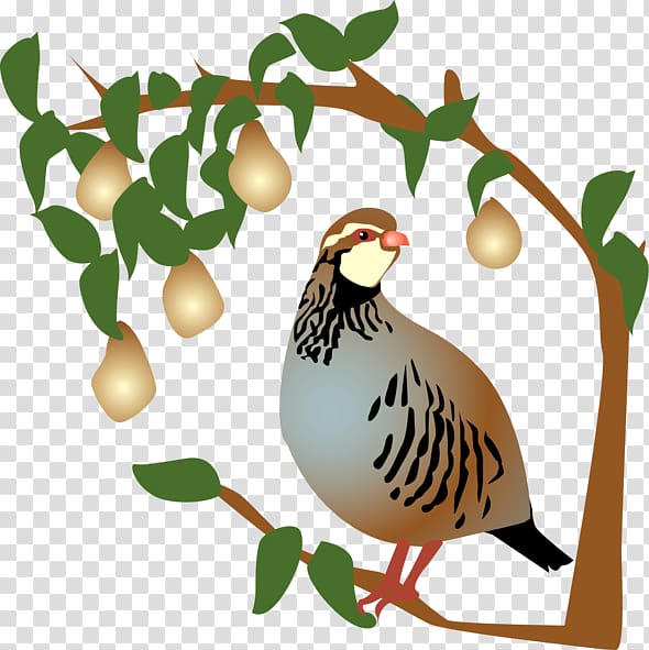 Partridge The Twelve Days of Christmas Pear , pear transparent background PNG clipart