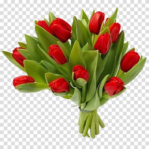red tulip flower bouquet, Tulip Floral design Cut flowers Flower bouquet, Bouquet flowers transparent background PNG clipart