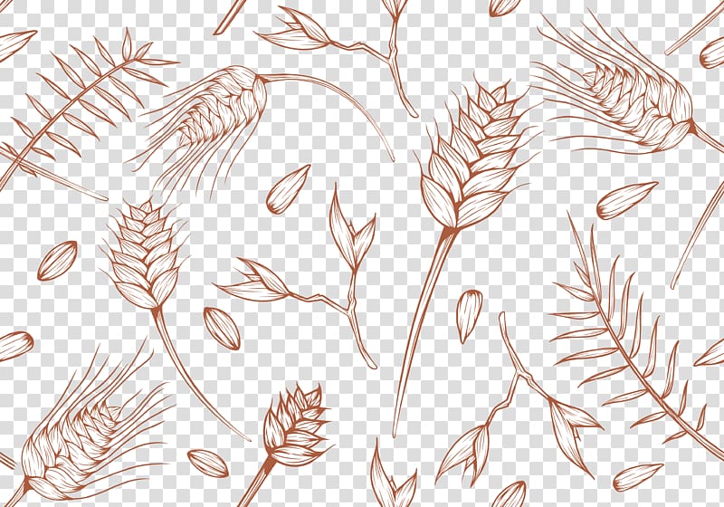 Grasses Line art Sketch, fresh and beautiful hand-painted wheat grain background texture transparent background PNG clipart