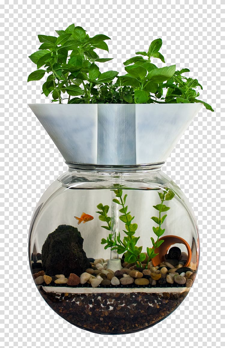 Aquaponics Aquarium Fish Hydroponics Gardening Herbes Transparent