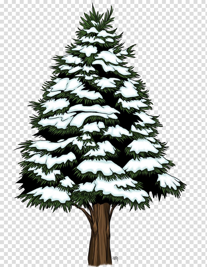 Spruce Fir Pine Christmas tree Christmas ornament, christmas tree transparent background PNG clipart