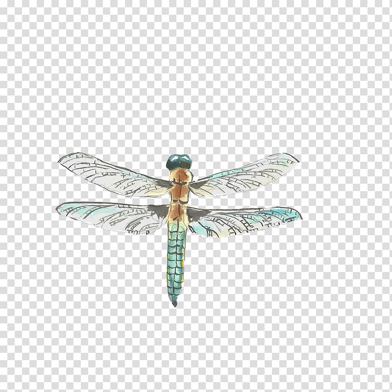 Insect Dragonfly Drawing Watercolor painting, dragonfly transparent background PNG clipart