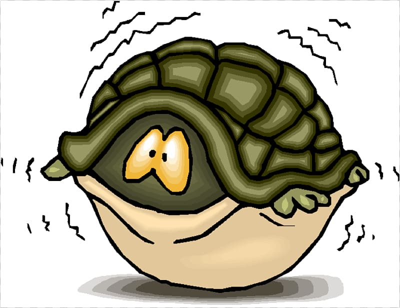 Turtle shell Sea turtle , Scared People transparent background PNG clipart